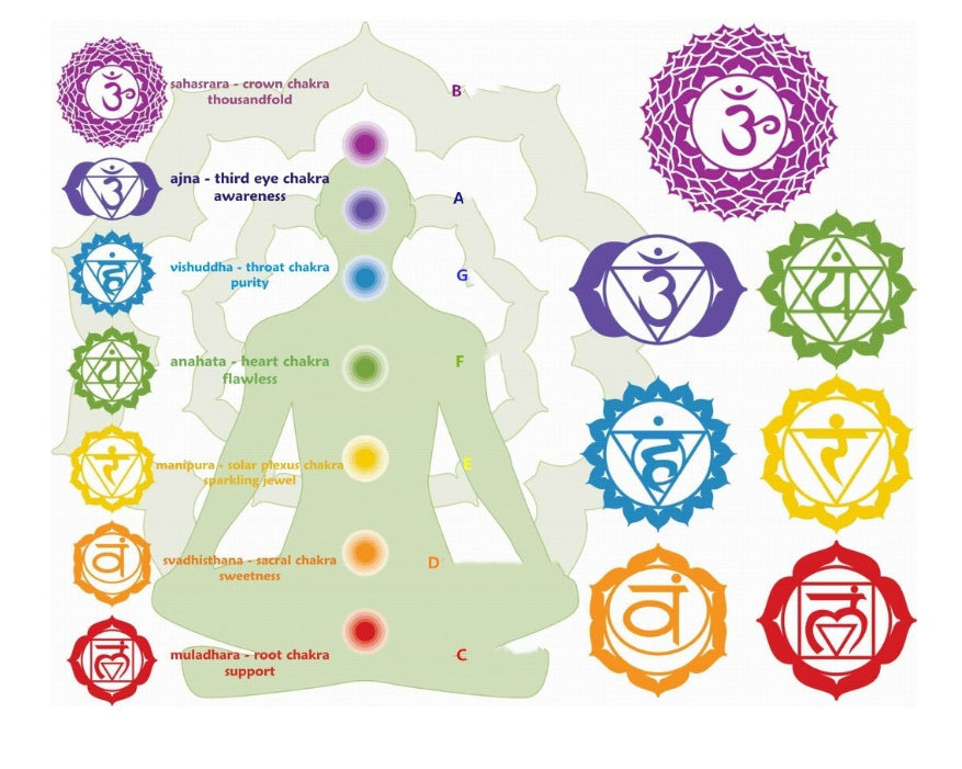 8-inch Crystal Bowl, Buddha Sound Bowl, Meditation Music Crucible Singing Bowl, Healing Tones WITH Mallet(no case-display only) - Tartarian Treasures & Trinkets