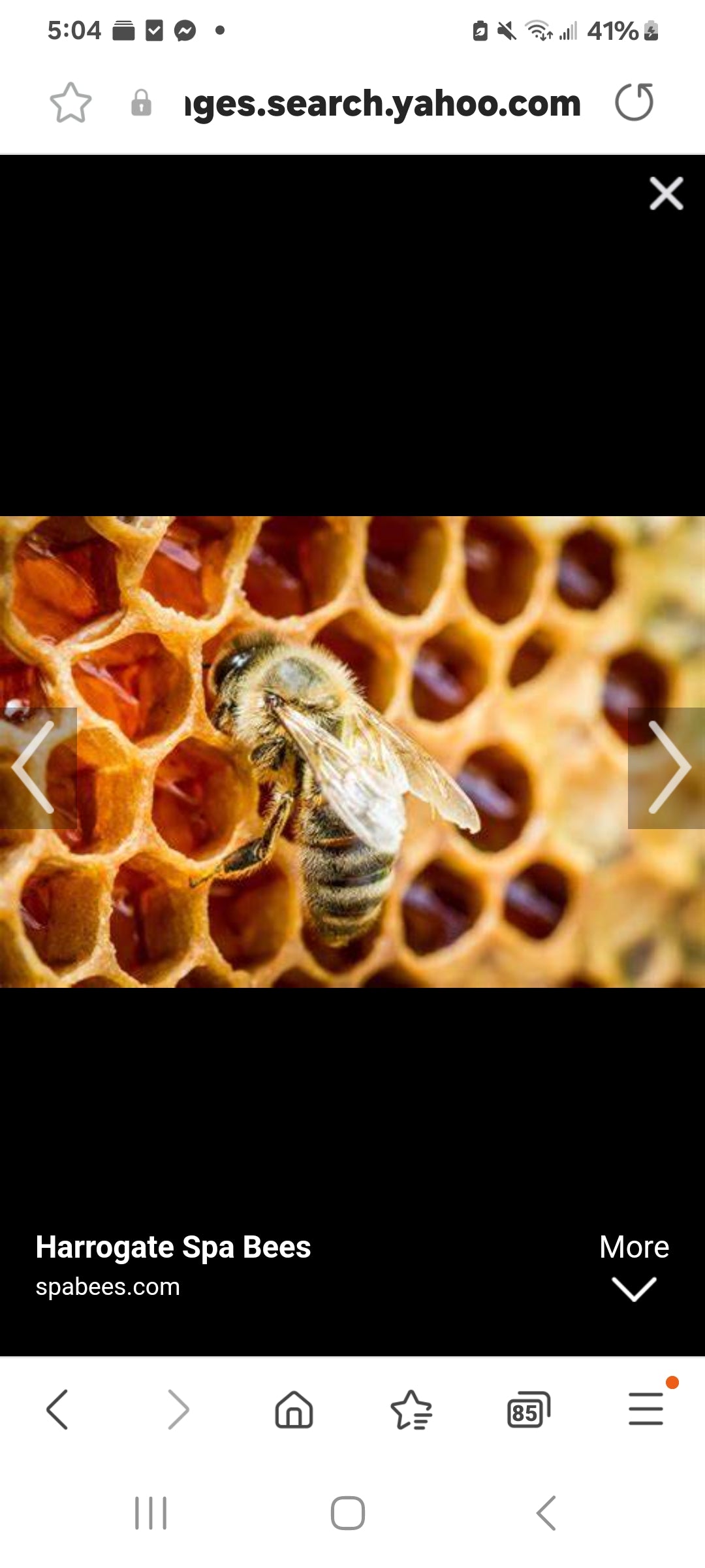 Bee Venom Eye Anti Aging Serum 15ml BeTTerSkin Holistics