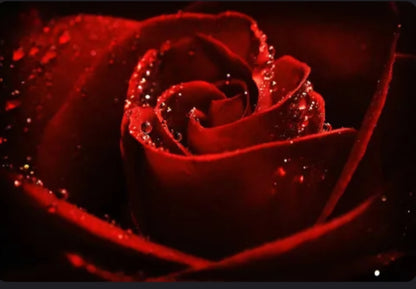 Blackberry & Lavender Raw Honey Soap Collection (Colloidal Oatmeal Optional-Choose Scents)