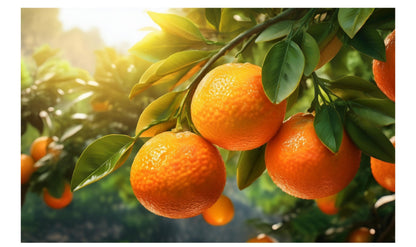 Blackberry & Lavender Raw Honey Soap Collection (Colloidal Oatmeal Optional-Choose Scents)