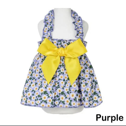  Perfect for New Year's Day 2025