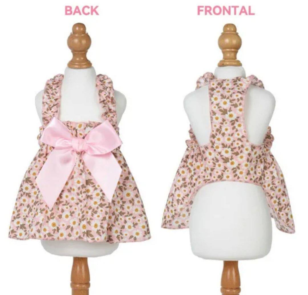  Perfect for New Year's Day 2025