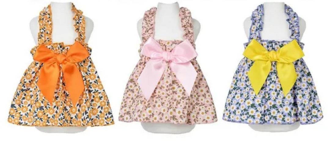  Perfect for New Year's Day 2025