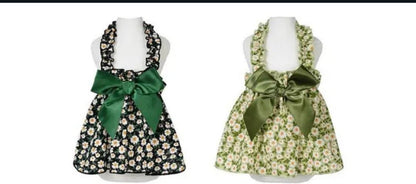  Perfect for New Year's Day 2025